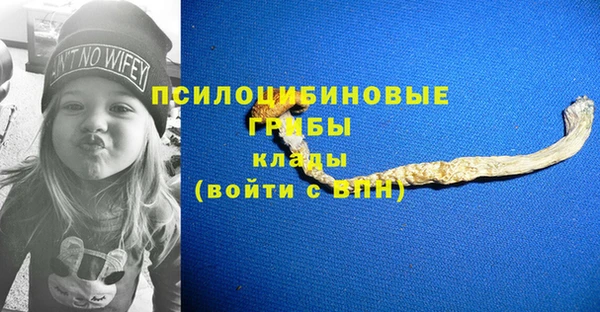 тгк Абинск